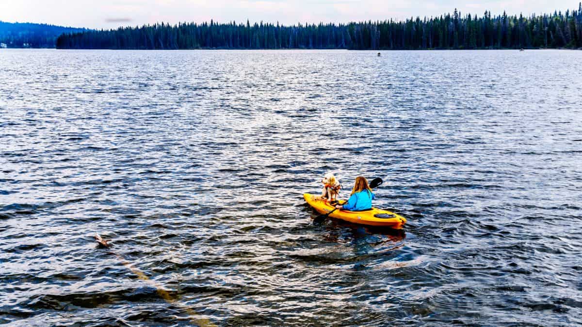 women on yellow kayak out at sea with a dog