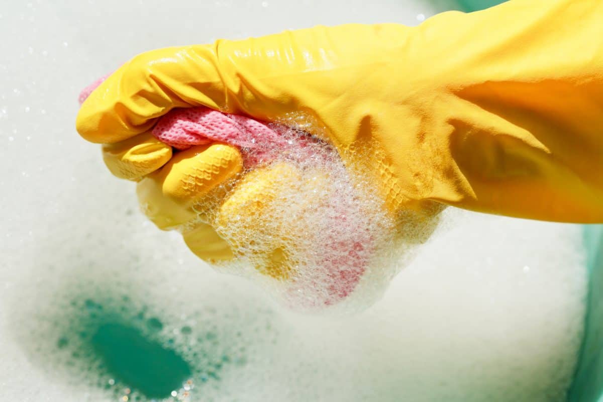 Kayak wax and Kayak Cleaning- hand in yellow rubber glove wrings out wet cloth from soapy water