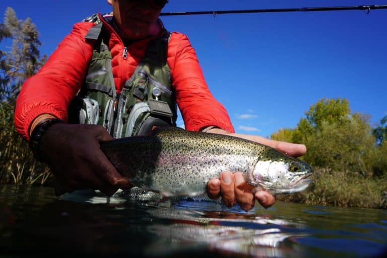 Where to Go Fishing Near Me – Free Interactive Map Of All The Top
