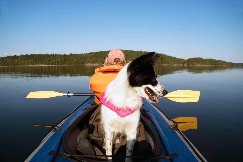 The Best Kayak For Dogs Choose One That You And Your Pup Will Love