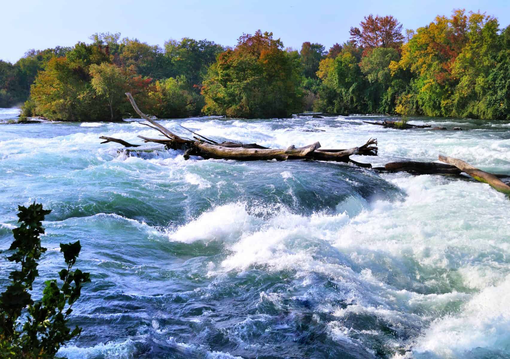 What Are Strainers On A River