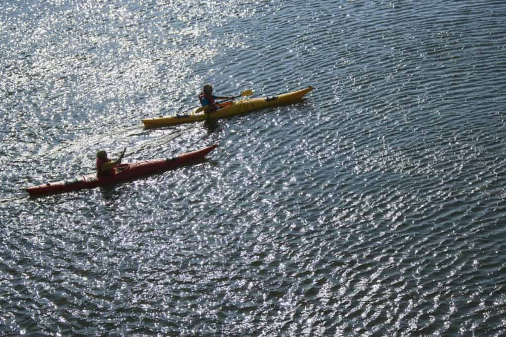 Sea Kayaking For Beginners Newbie’s Guide To Ocean Kayaking