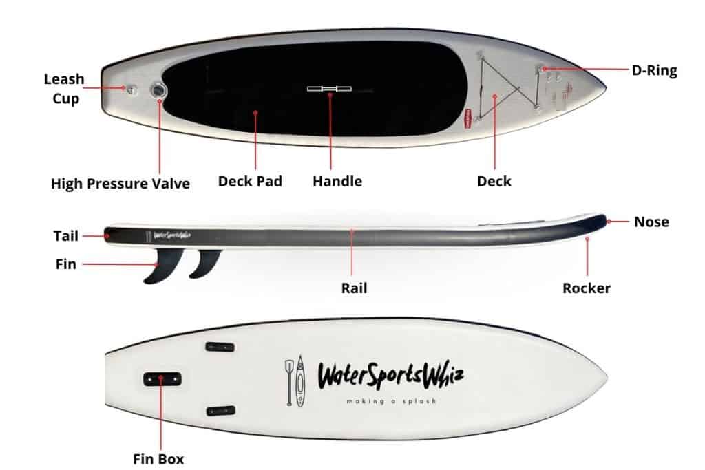 SUP Anatomy 101 What Are The Basic Parts Of A Paddle Board?