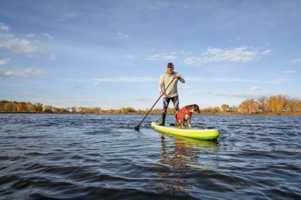 Man and dog on quality inflatable paddle boards