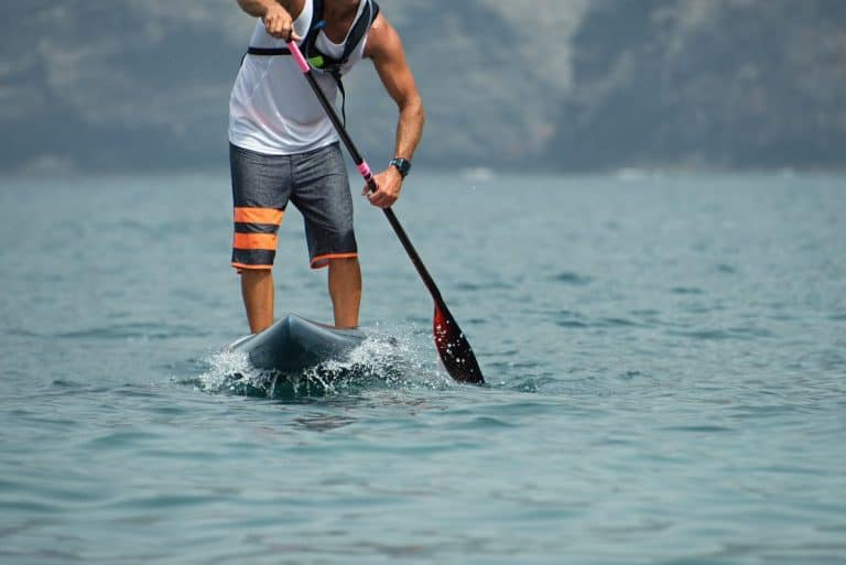 What Muscles Does Paddle Boarding Work?