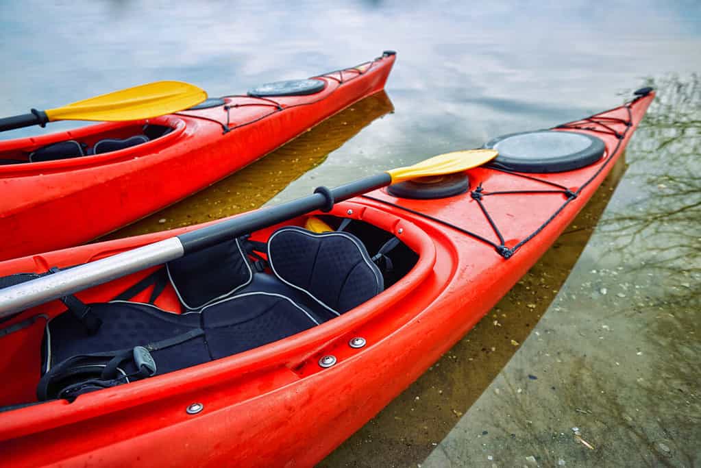 Paddle Board Vs Kayak What’s The Difference & Which One Is Best For You